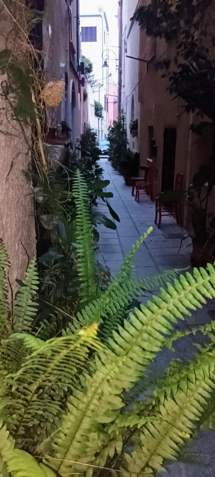 Casa Vacanze Nel Cuore Di 卡利亚里 外观 照片
